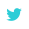 icon-twitter-color